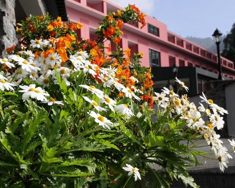 Quinta da Serra - Bio Hotel-4