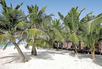 Hotel, Kuredu Resort & Spa