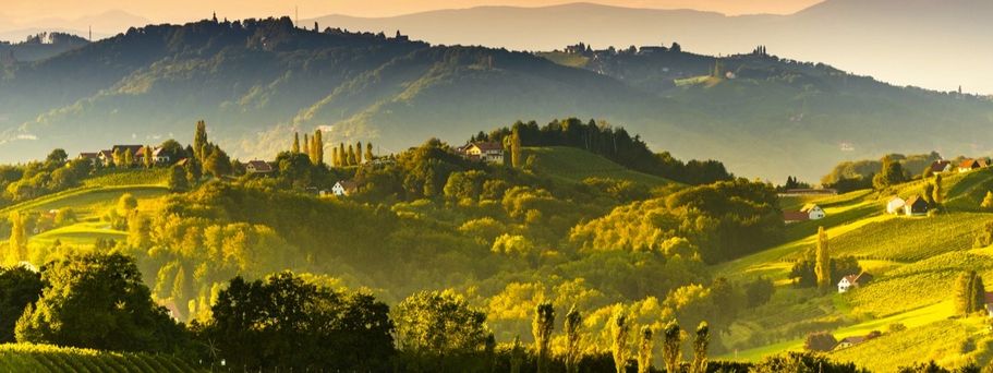 Südsteirische Weinberglandschaft bei Gamlitz