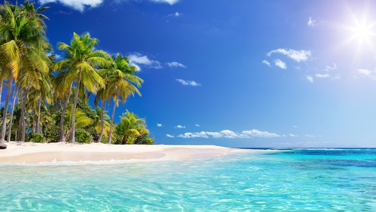 Karibischer Strand mit Palmen