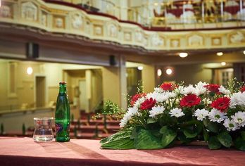 Hotel Ambassador Zlatá Husa
