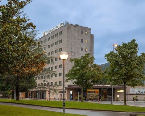 Hotel Puerta De Bilbao-4