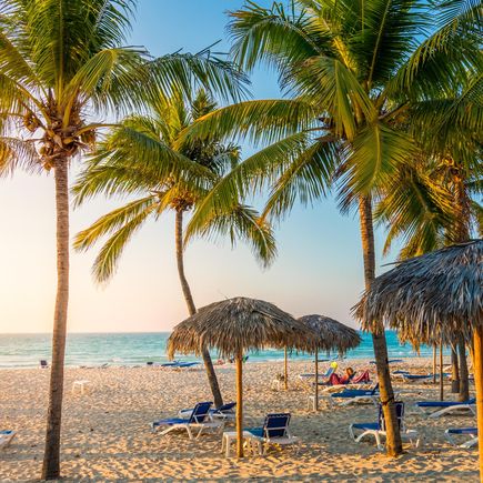 Ein Strand mit Palmen und Liegestühlen.