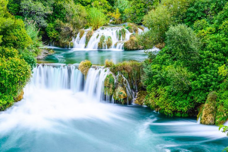 Ein Fluss, der sich durch eine grüne Landschaft schlängelt.