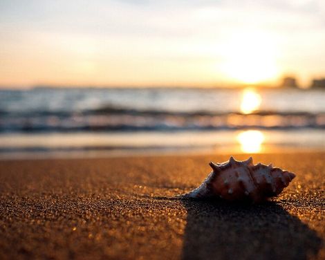 Riolavitas Resort & Spa -1