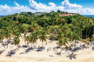 Blick auf eine Insel mit Palmen in Samana