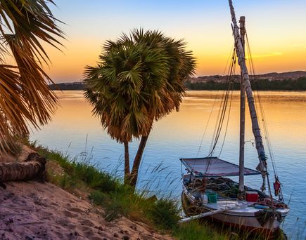 Eine Gruppe von Palmen, die vor einem dramatischen Sonnenuntergangshimmel stehen, ihre Silhouetten spiegeln sich in den ruhigen Gewässern des Nils.