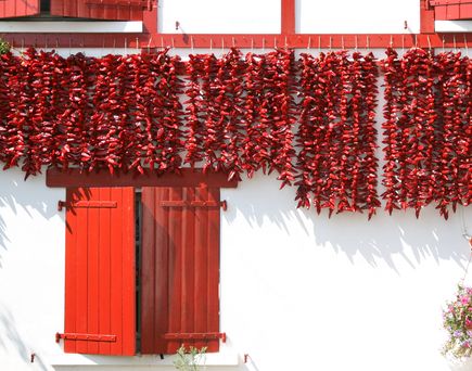 Knallrote Chilischoten im traditionellen Bergdorf Espelette in den Pyrenäen 