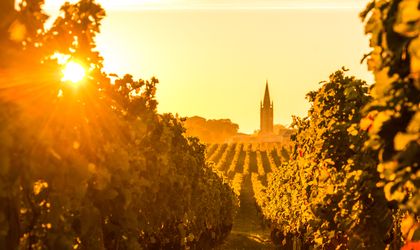 Bordeaux Wein Saint Emilion