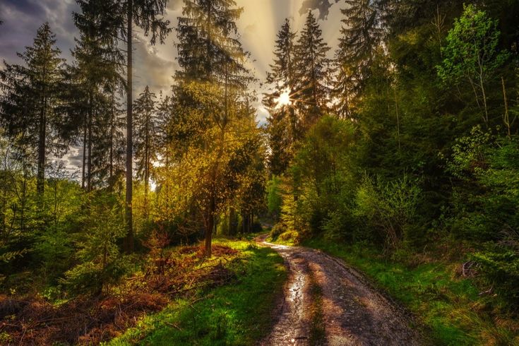 Wellnessurlaub in Thüringen