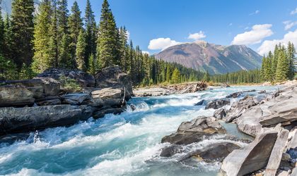 Reissender Fluss in British Columbia. Im Hintergrund Bäume und Berge