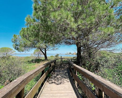 Rosapineta Camping Village Casa Mobili by Happy Camp-2