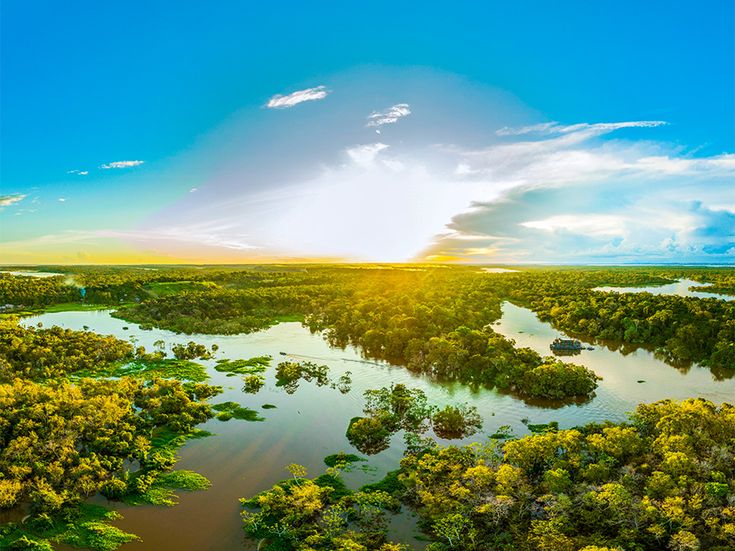 Blick über den Amazonas