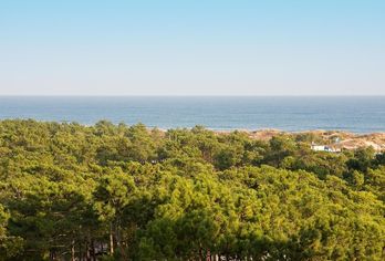 Hotel, Monte Gordo Hotel Apartamentos & Spa