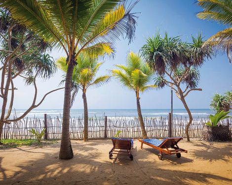 Siddhalepa Ayurveda-1