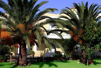 Hotel, Athena