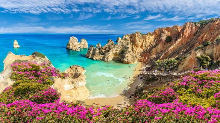 Bucht an der Algarve, Blick über bunte Vegetation auf das blaue Meer