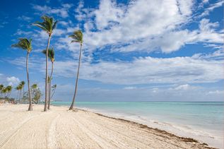 Playa Juanillo: Breiter, heller Sandstrand mit schlanken Palmen und flachem türkisfarbenem Meer unter teils bewölktem Himmel.