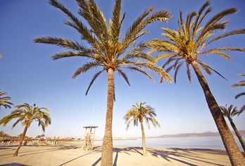 MLL Caribbean Bay
