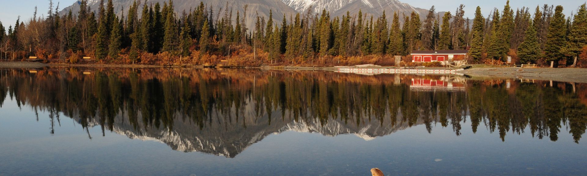 Whitehorse Landschaft