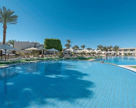 Reef Oasis Beach Resort-2