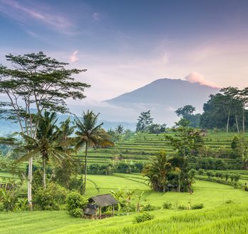 Ratgeber für Ihre Indonesien-Reise