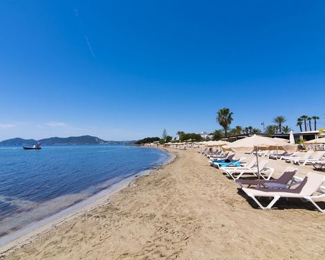 Fergus Style Punta Arabi-0