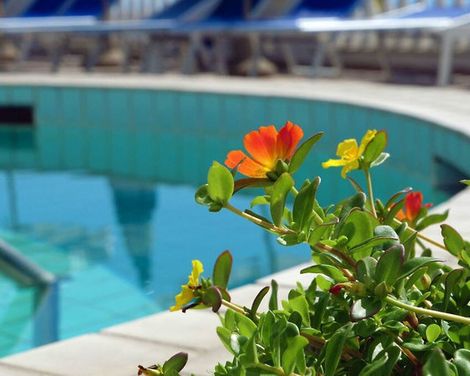 Hotel La Ginestra-1