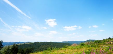 Hotels in Winterberg