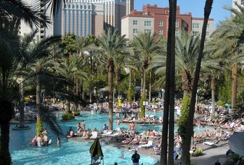 Hotel, Flamingo Las Vegas Hotel & Casino