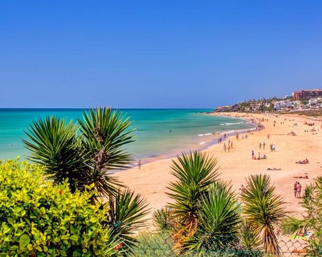 SBH Hotel Taro Beach-2