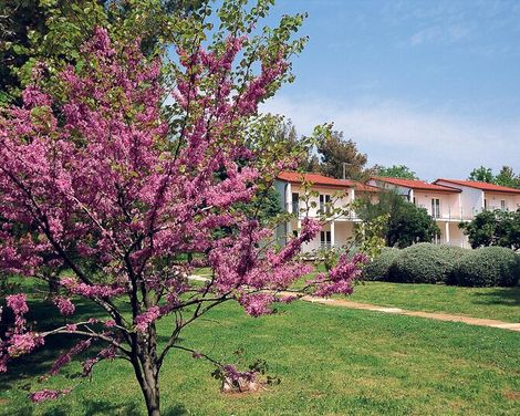 Ai Pini Medulin Resort-3