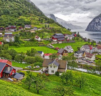 Blick über Sognefjord am Hang mit Wohnhäusern.