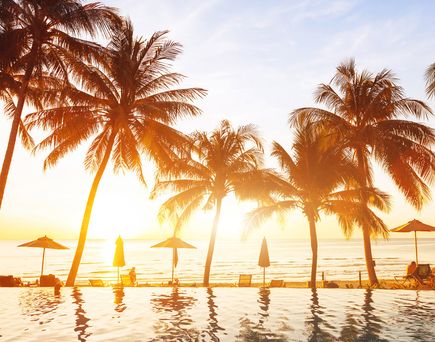 Sonnenstrahlen tauchen den Palmenstrand in goldenes Licht – ein Moment voller Ruhe und tropischer Romantik.