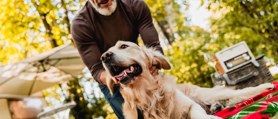 Mann mit Hund liegt auf einer Decke im Park
