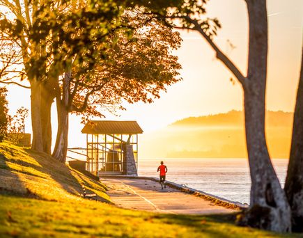 Eine eigene Halbinsel – der Stanley Park an der English Bay © Tourism Vancouver/ Nelson Mouellic