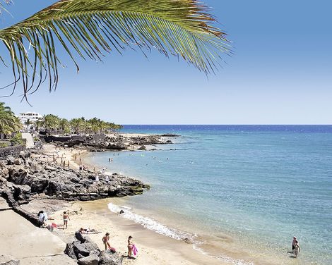 allsun App.-Hotel Albatros-0