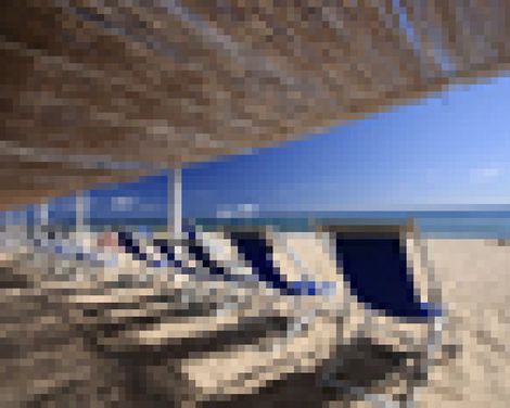 Hotel Flamingo Resort-0