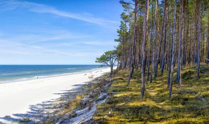Ein Strand mit weißem Sand und türkisfarbenem Wasser, umgeben von Bäumen.