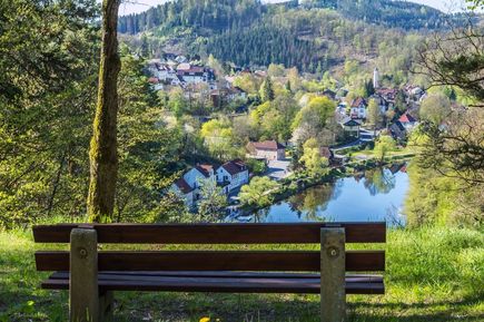 Blick auf eine Bank, welche über den Thüringer Wald zeigt. See, Bäume und blauer Himmel.
