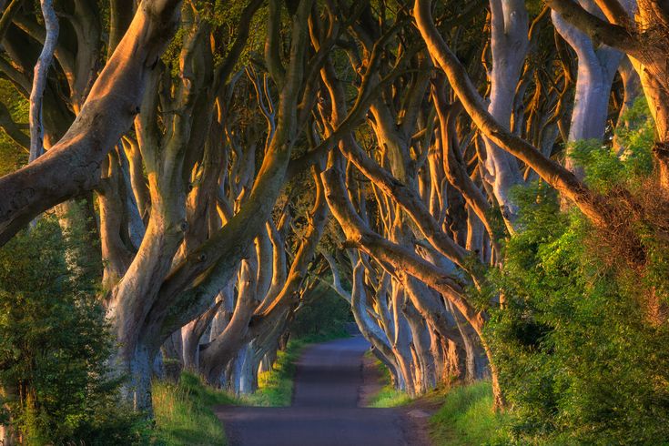 Filmschauplätze Irland