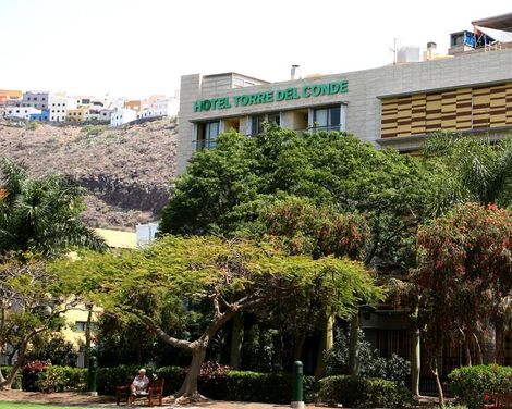 Hotel Torre Del Conde-1