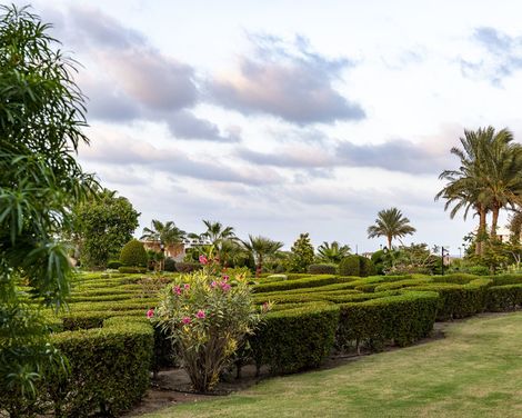 Gorgonia Beach Resort-3